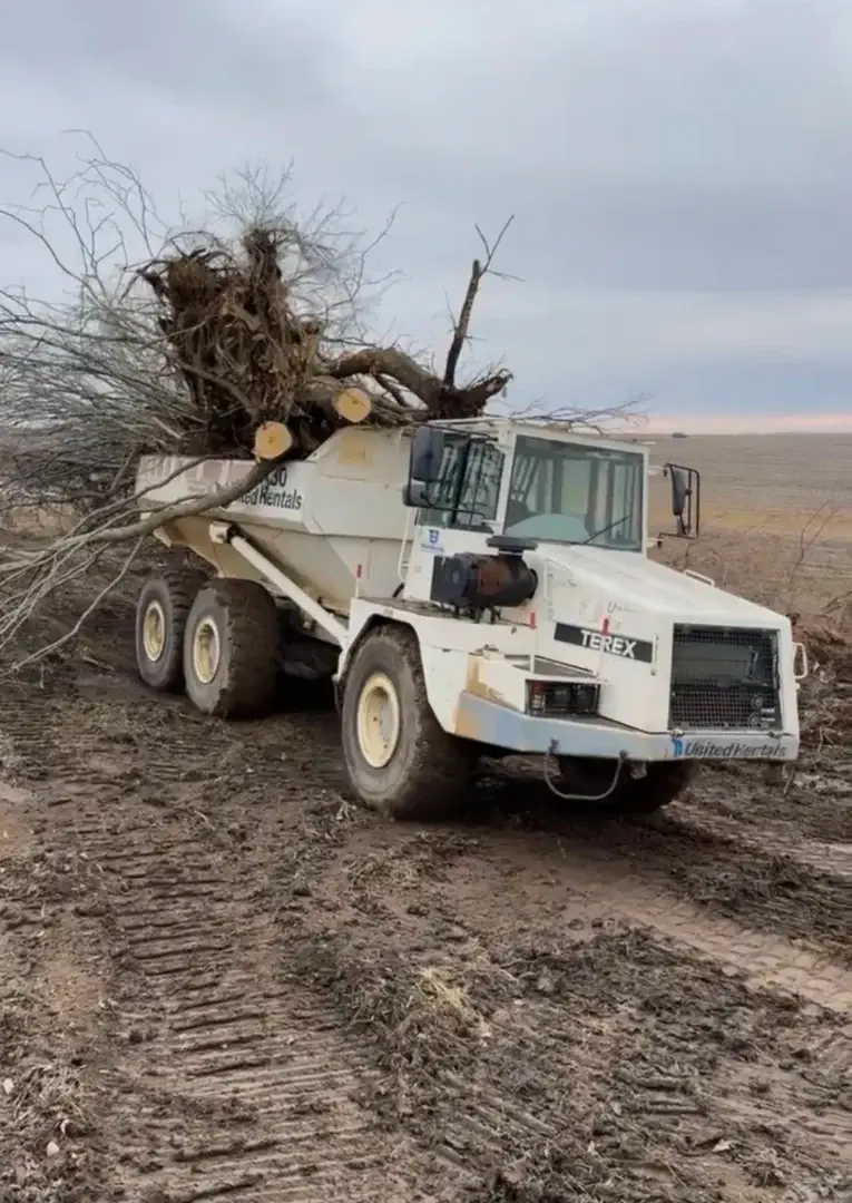 Land clearing work by Salz Drainage and Excavating in Magnolia, IL