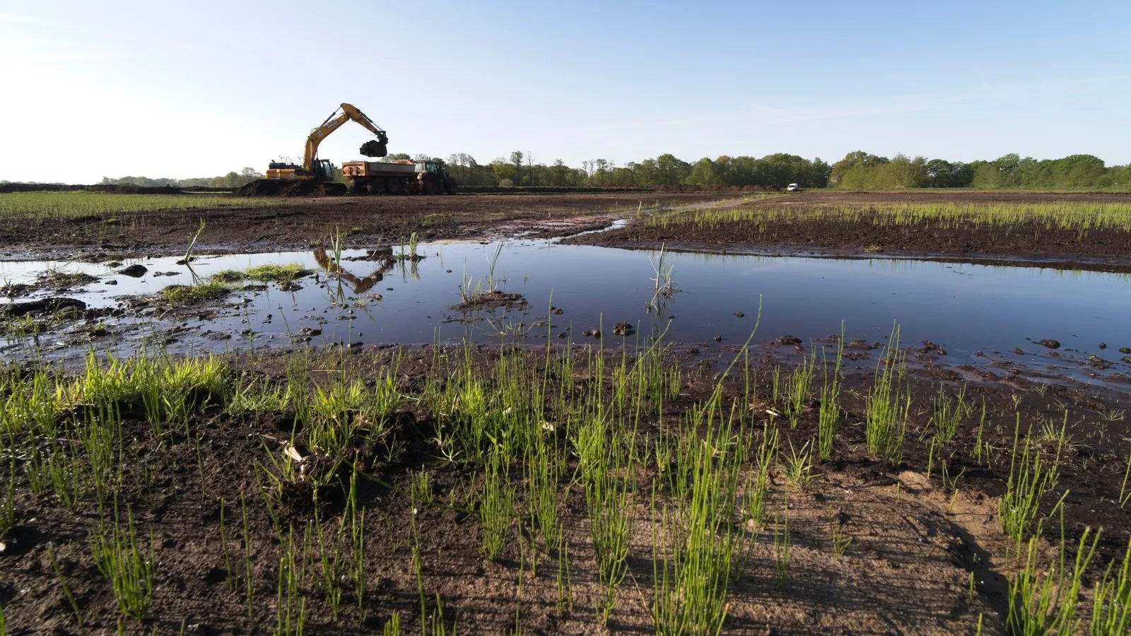 Stock photograph of an excavator shaping ground beside a pond