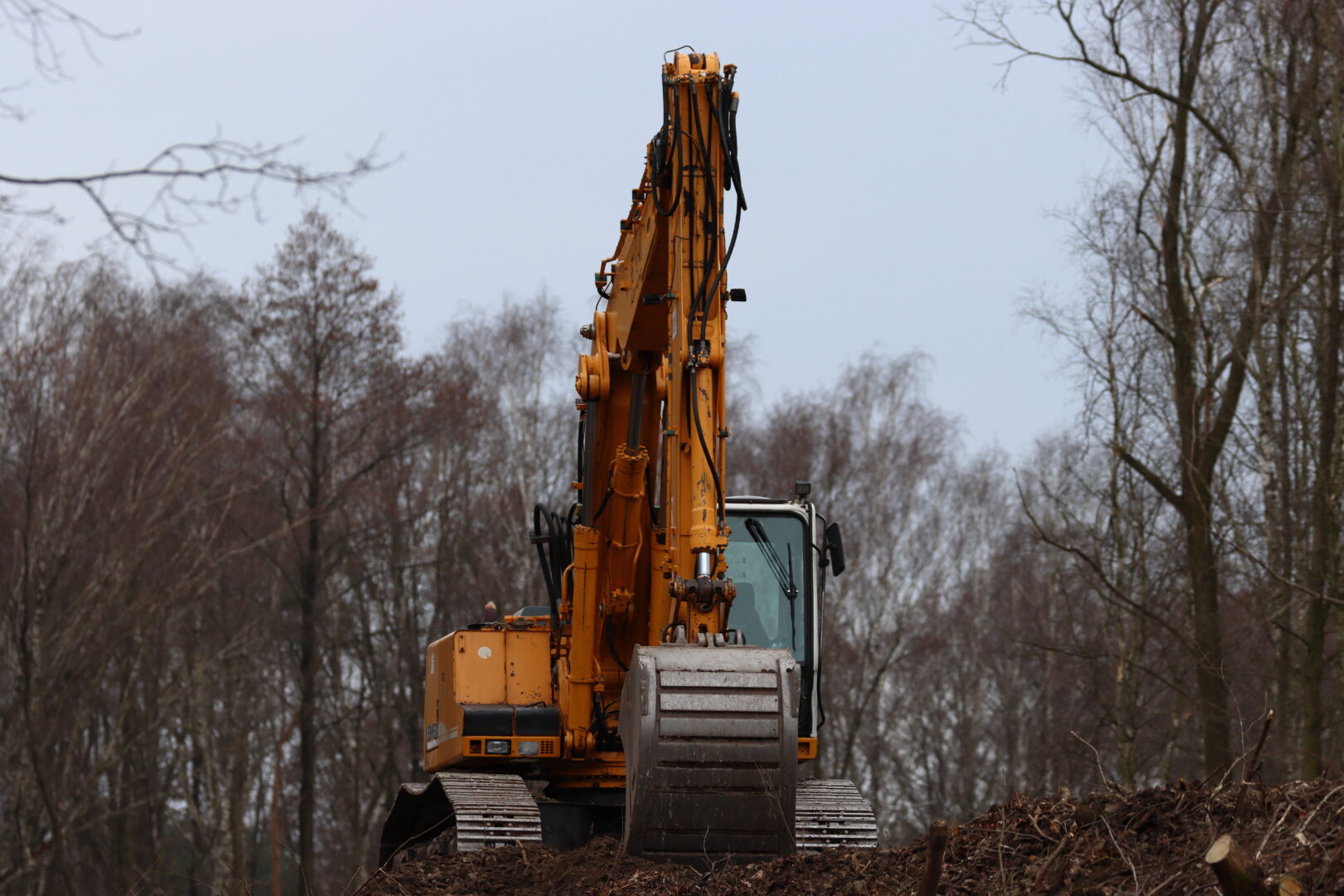Salz Drainage and Excavating yellow excavator in rural forest area 2026 01 08 00 21 10 utc